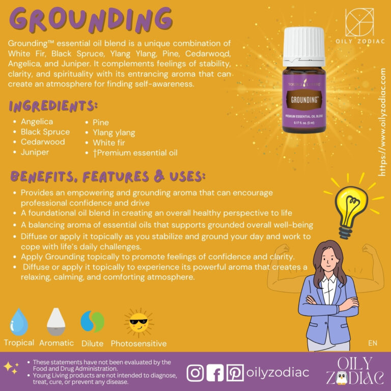 Grounding EO EN 02