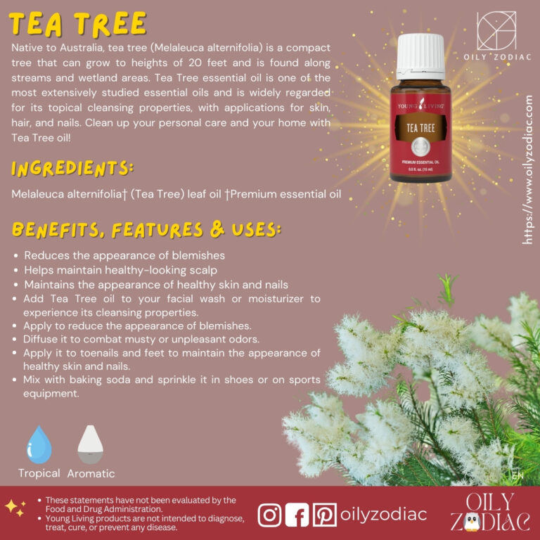 Tea Tree EO EN 02