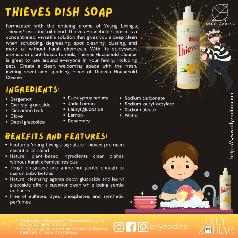 Thieves Dish Soap EN 02