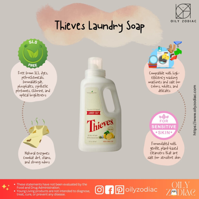 Thieves Laundry Soap EN 01