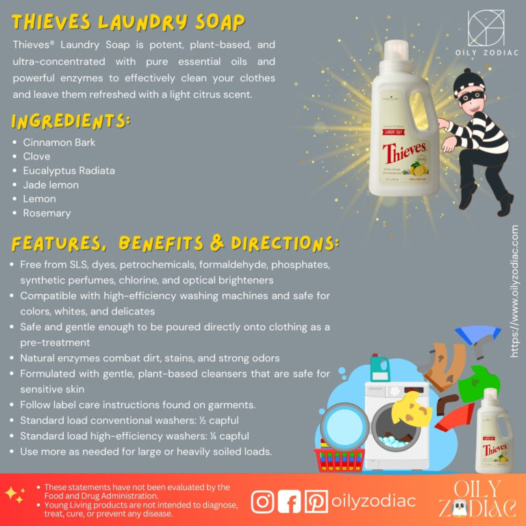 Thieves Laundry Soap EN 02
