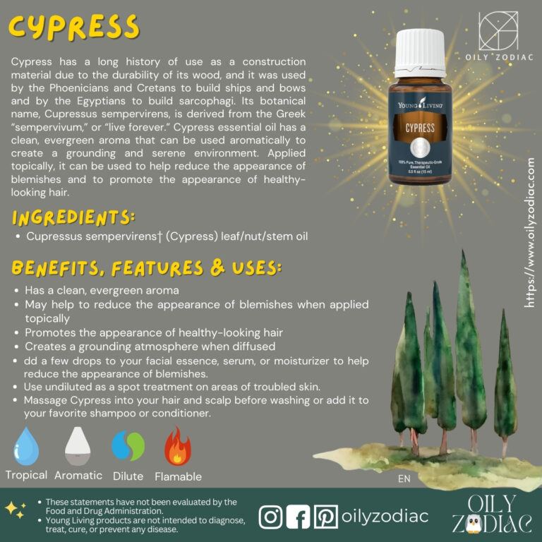 Cypress EO EN 02