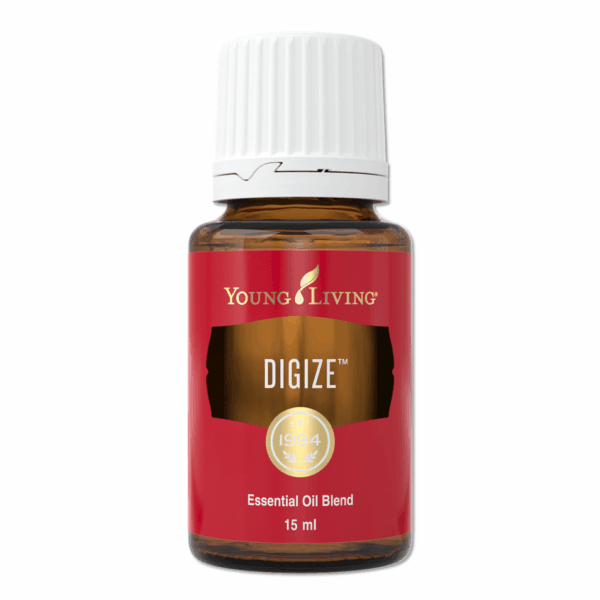 DiGize