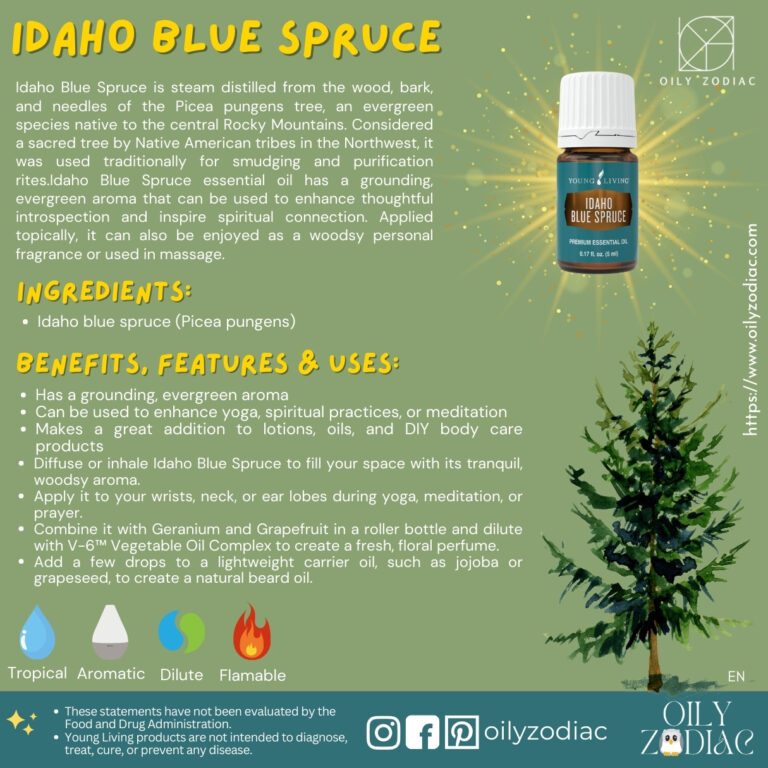 Idaho Blue Spruce EO EN 02