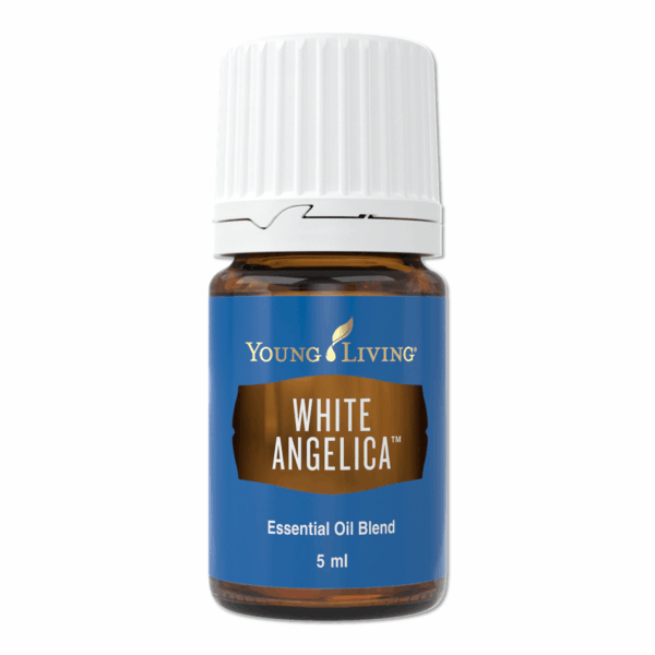 White Angelica