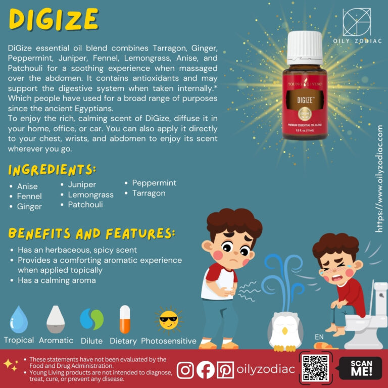 DiGize EO 02 EN