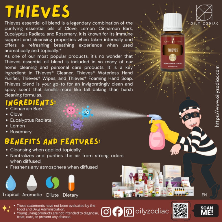 Thieves EO 02 EN